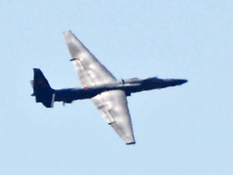 U-2S 087