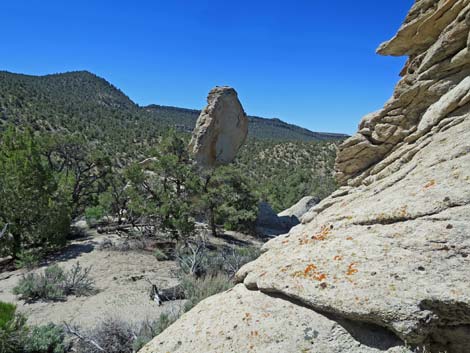 Basin and Range National Monument