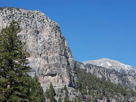 Cathedral Rock