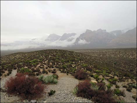 Red Rock Canyon National Conservation Area