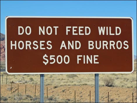 Red Rock Canyon National Conservation Area