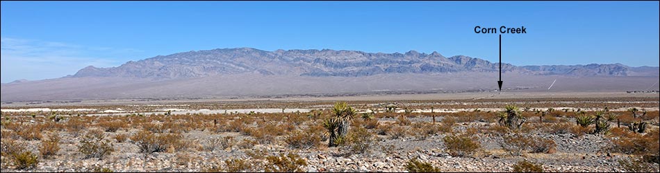 Birding Around Corn Creek