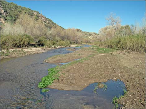 Hassayampa Roadside Rest Area