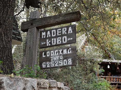 Madera Canyon