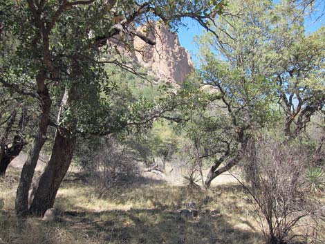 Sunny Flat Campground