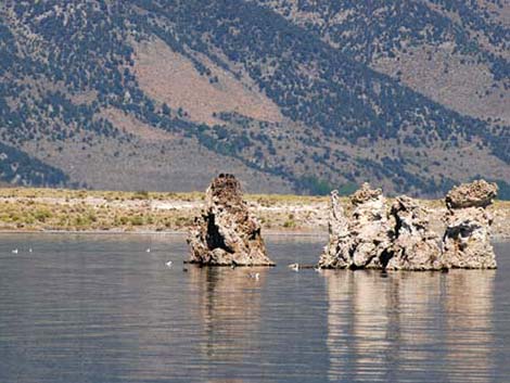 Mono Lake