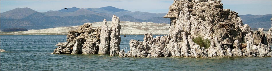 Mono Lake Tufa Reserve