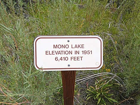 Boardwalk Trail