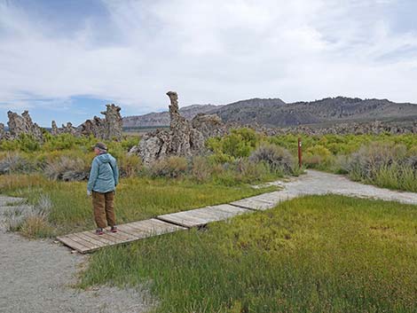 South Tufa Towers Trail