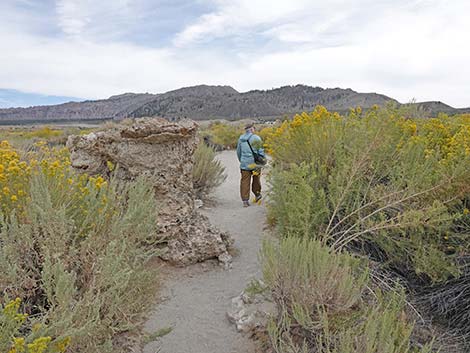 South Tufa Towers Trail