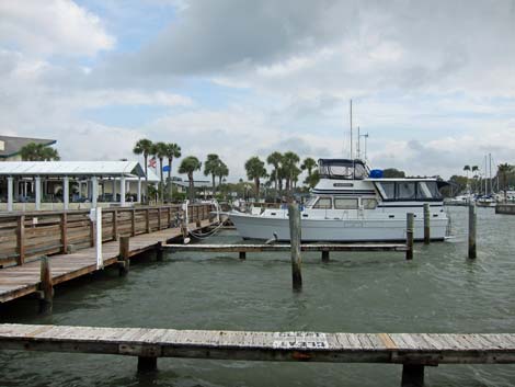 Dunedin Marina