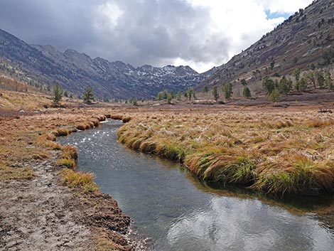 Lamoille Canyon