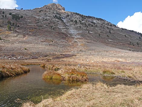 Lamoille Canyon