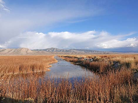 Ruby Marsh National Wildlife Refuge