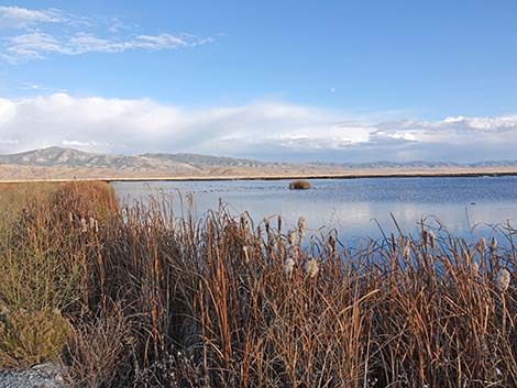 Ruby Marsh National Wildlife Refuge