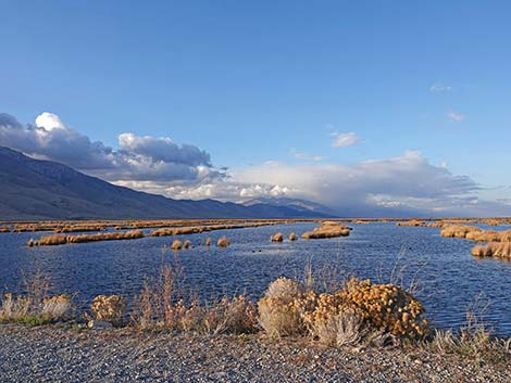 Ruby Marsh National Wildlife Refuge