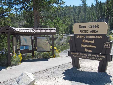 Deer Creek