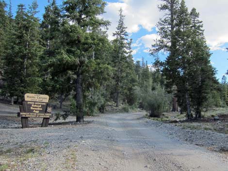 Macks Canyon Spring