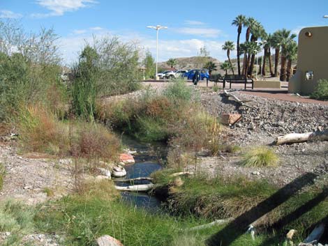 Moapa Valley National Wildlife Refuge