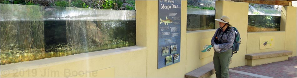 Moapa Valley National Wildlife Refuge