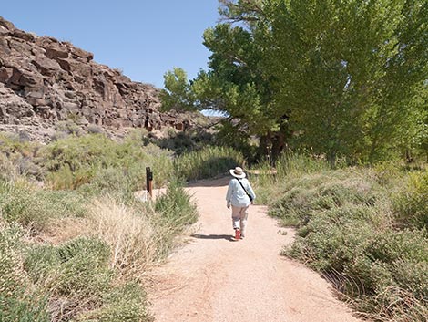Black Canyon Trail