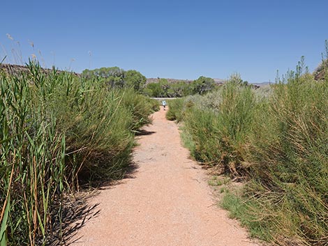 Black Canyon Trail