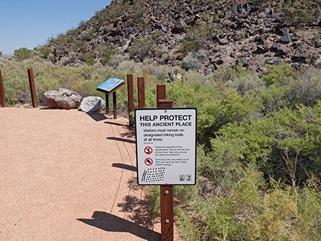 Black Canyon Trail