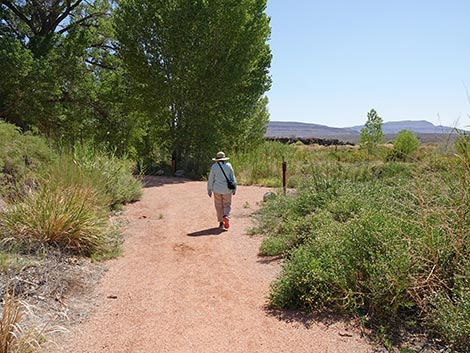Black Canyon Trail