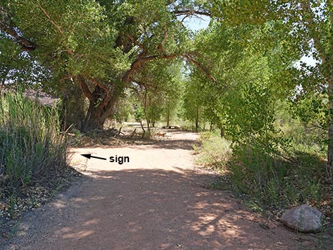 Black Canyon Trail