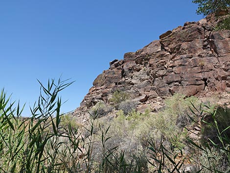 Black Canyon Trail