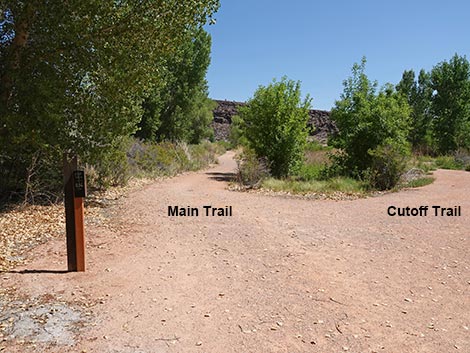 Black Canyon Trail