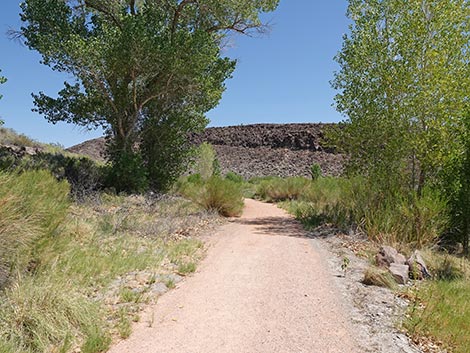 Black Canyon Trail