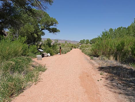 Black Canyon Trail