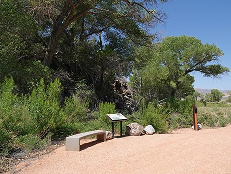 Black Canyon Trail