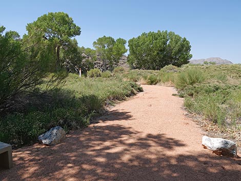 Black Canyon Trail