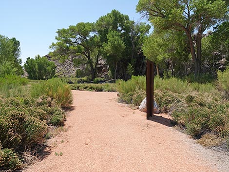 Black Canyon Trail