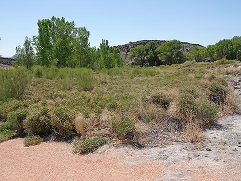 Black Canyon Trail