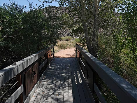 Black Canyon Trail
