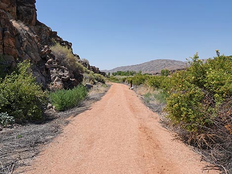 Black Canyon Trail