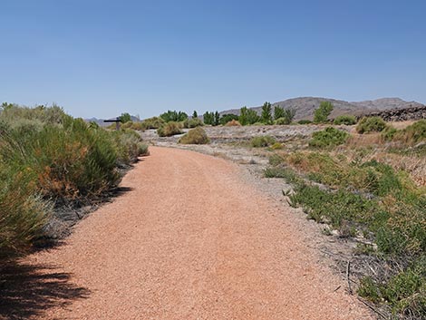 Black Canyon Trail