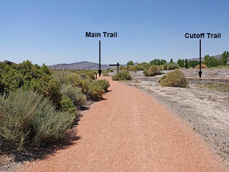 Black Canyon Trail