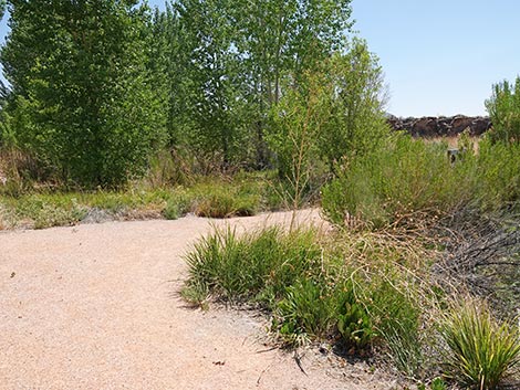 Black Canyon Trail
