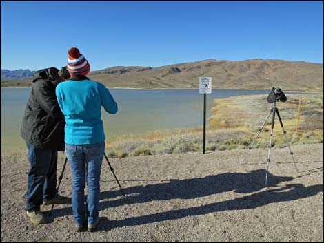 Pahranagat NWR