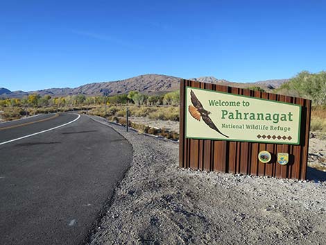 Pahranagat Visitor Center Road