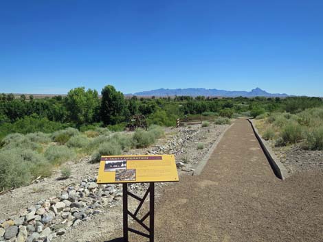 Warm Springs Natural Area