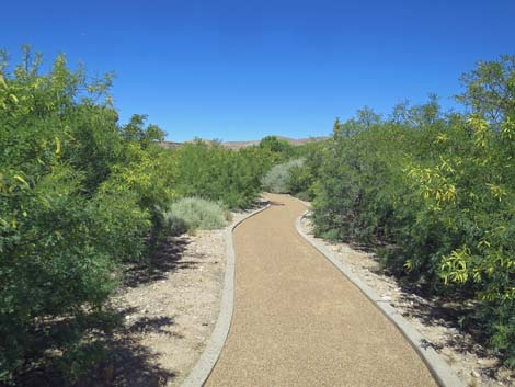 Warm Springs Natural Area