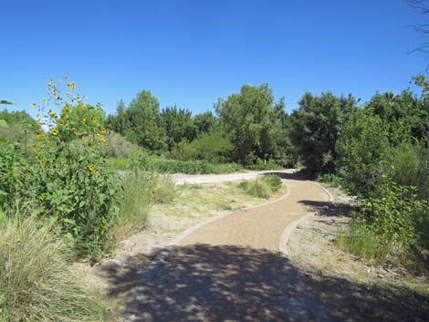 Warm Springs Natural Area