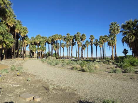 Warm Springs Natural Area