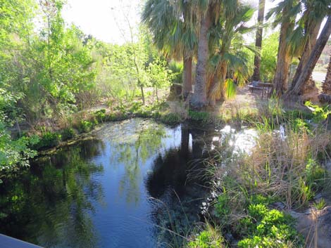 Warm Springs Natural Area