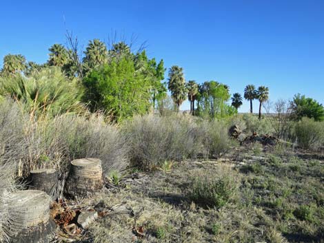 Warm Springs Natural Area